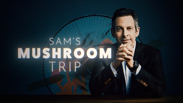 glowing text saying "Sam's mushroom trip" and a portrait of Sam Harris